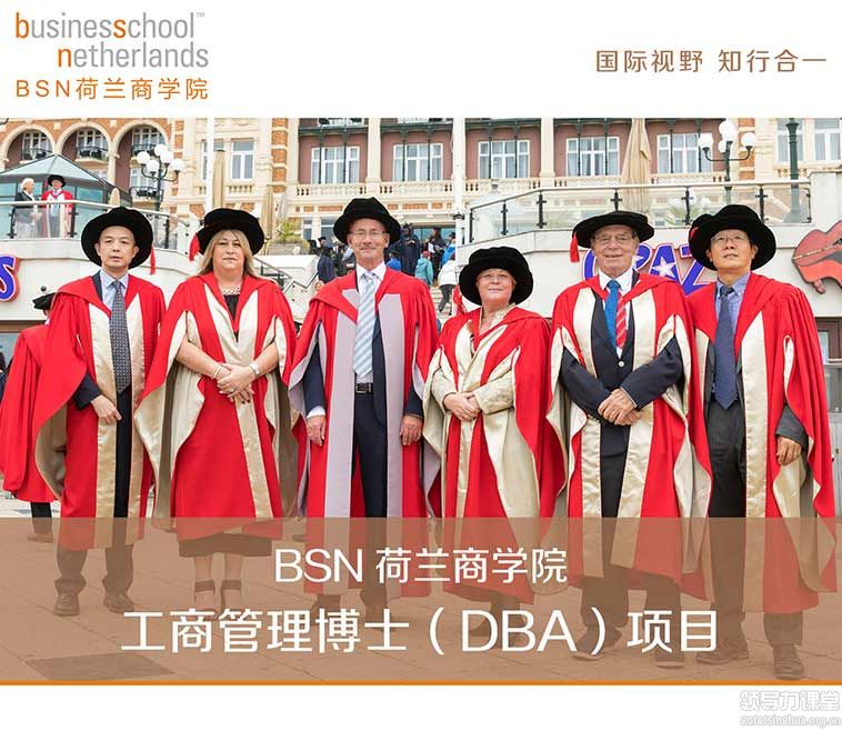 BSN荷兰商学院工商管理博士（DBA）项目